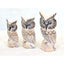 Set of 3 Small Owls - Hunter Furnishing