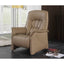 Himolla Rhine Power Lift & Rise Recliner Chair - Hunter Furnishing